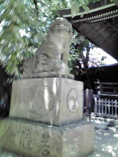 EMSトレーニングで劇的変化！ビフォーアフター02「20分×週2回のトレーニング＋食事管理、1.5ヶ月で-5kg!!」 -表参道、銀座のパーソナルジムBCT - 20分のEMSトレーニングで効率的に鍛える