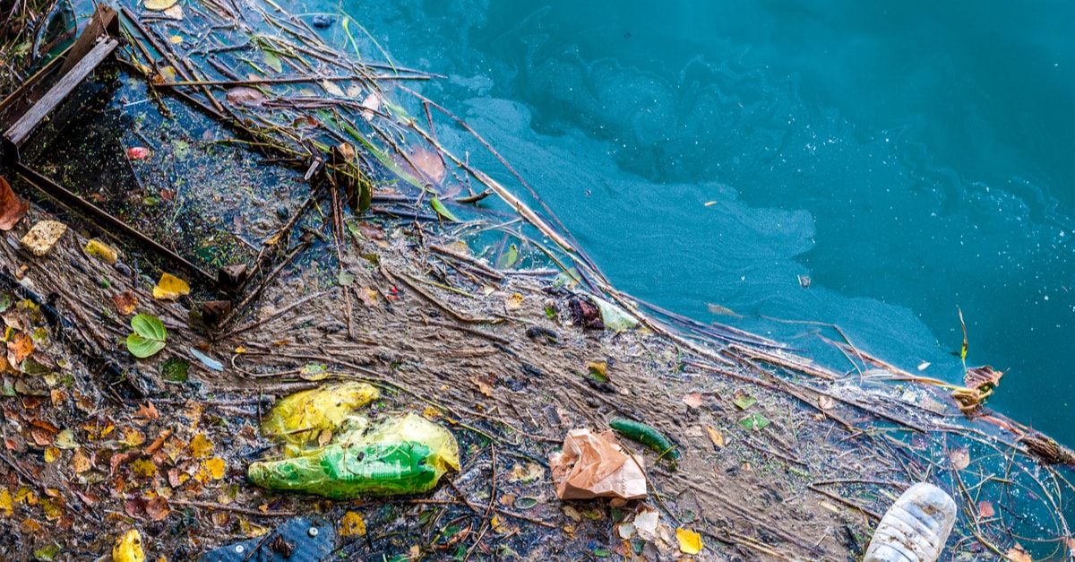 専門家の解説 マイクロプラスチック汚染、海や環境、健康影響についてわかってきたこととは？ – 国際環境NGOグリーンピース