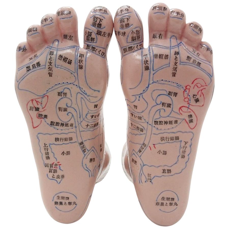 足裏の反射区・足つぼ モノクロ図解イラスト 英語版 のイラスト素材83453664- PIXTA