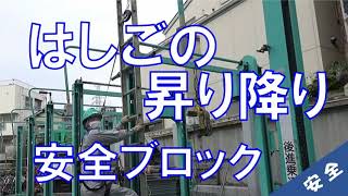 垂直梯子の安全対策製品 人気商品 墜落防止.com