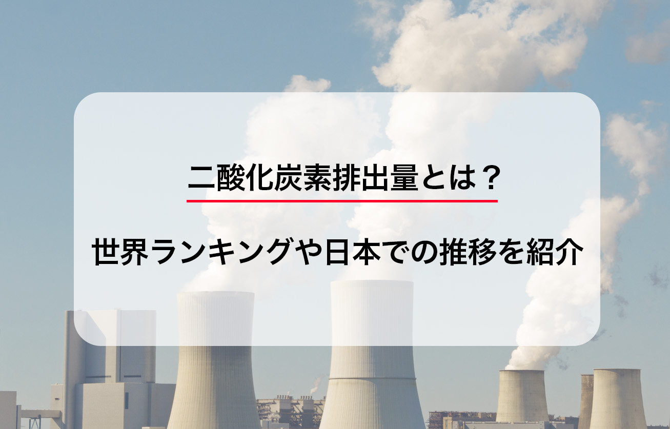 杉の木７本が蓄えている二酸化炭素の排出量 morinos建築秘話69: 岐阜県立森林文化アカデミ