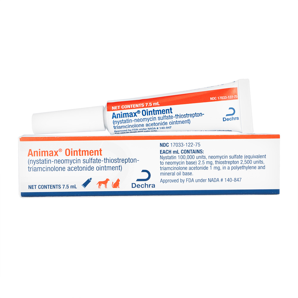 食物アレルギーによる皮膚病について田辺獣医科病院