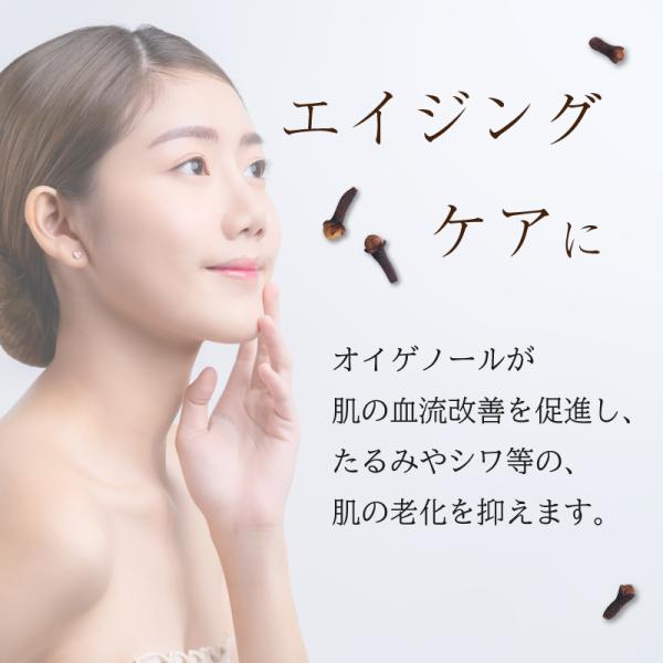 ゴキブリ対策クローブホール！効果抜群！５袋 - メルカリ