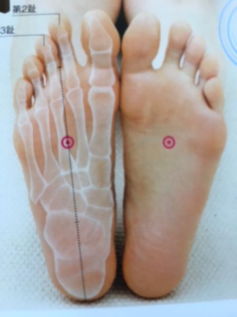 足裏健康 ツボゾーン 日本製 高齢者向けノベルティ 敬老 誕生日 頻尿改善 青竹踏み : セブントップ Yahoo!店 - 通販 -Yahoo!ショッピング