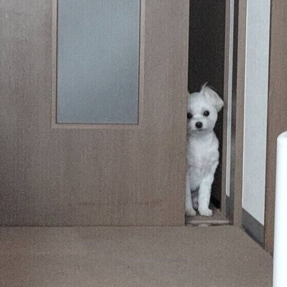 視線」が全てを物語る！彼の瞳に潜むあなたへの心理7選みのり当たる無料占い＆恋愛占い