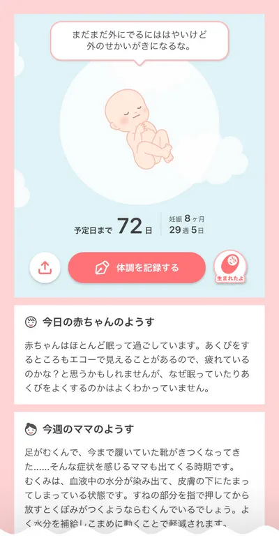 妊婦はマックが食べたくなる？— その理由と安全な食べ方とは？_ 新米パパ備忘録 おがⅡ