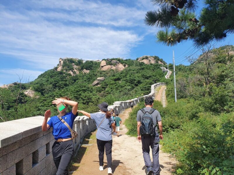 東堂山満福寺、仁王像の吽形の無料の写真素材 - ID.89820フリー素材 ぱくたそ