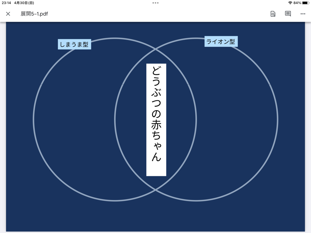 8月6日はハムスターの日。いちばんかわいい＆わかりやすい育て方ブック 『はじめてのハムスター そだてかたブック』BOOKウォッチ