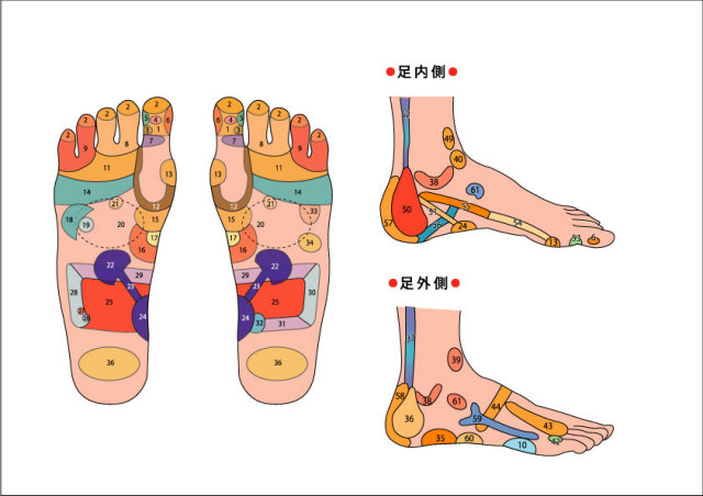 リフレクソロジー、反射区とは？ 施術は右足から？左足から？京都北山のパーソナルトレーニング＋ゴルフフィットネス「essence」