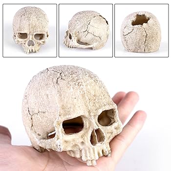 ぼかした背景に人間の手にトカゲやペットのカメレオンペットの爬虫類 - 1人のストックフォトや画像を多数ご用意 - 1人, インドネシア, オーガニック- iStock