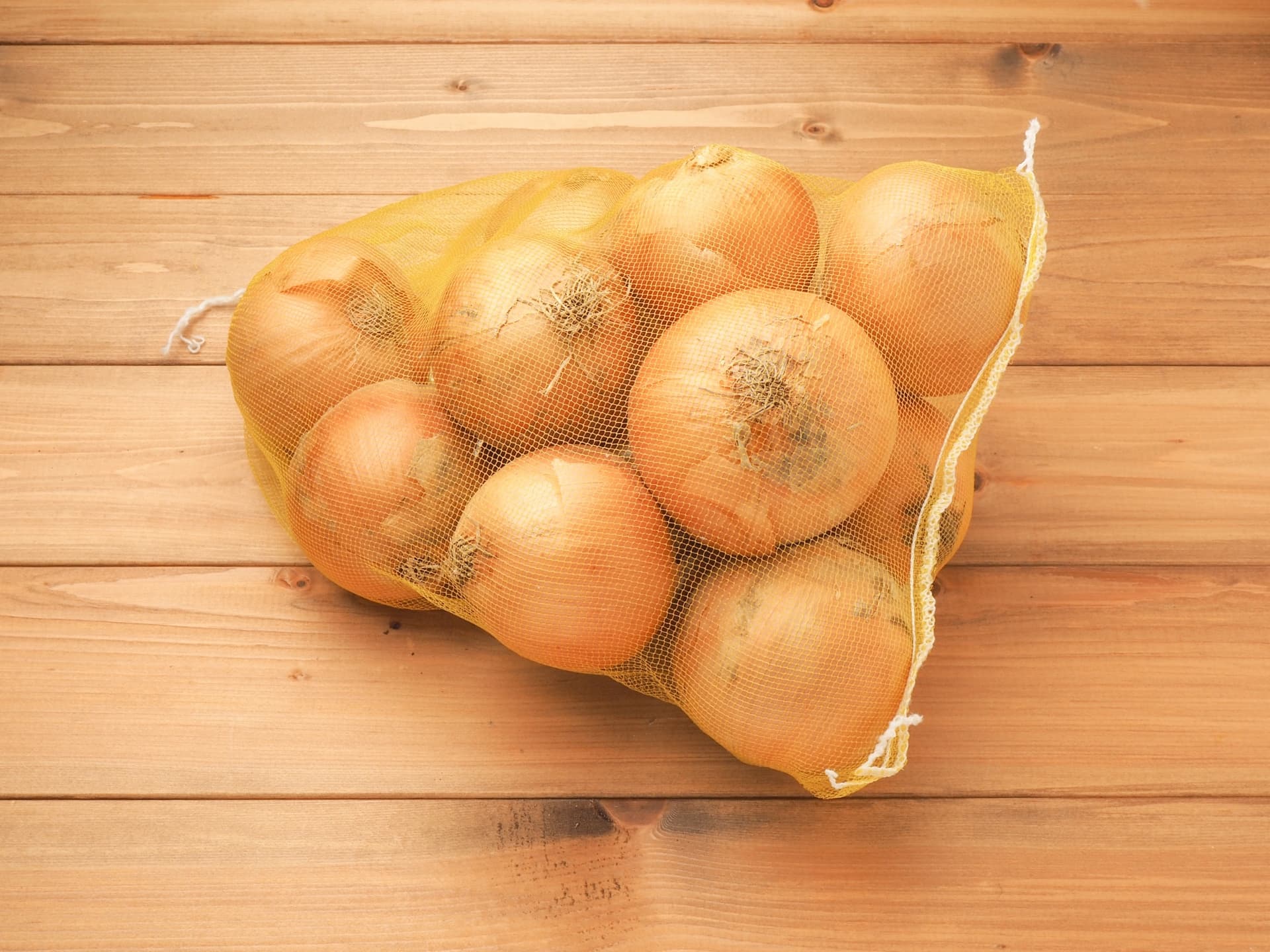 玉ねぎ中毒について獣医師監修 ねこ病気事典Toletta Catsトレッタキャッツ