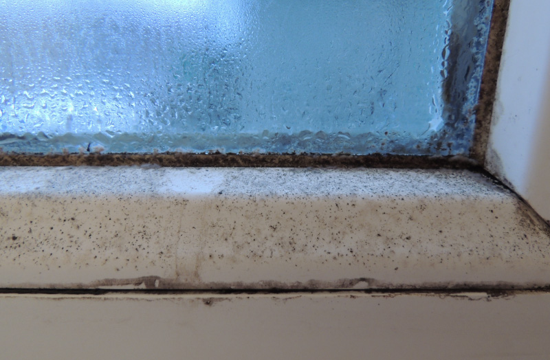 プロ直伝！頑固なカビをごっそり撃退するお風呂掃除の８つの手順株式会社東和総合サービス