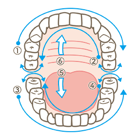 口腔ケア目的と手順、看護の注意点、観察項目、症状別ケア 総まとめナース専科