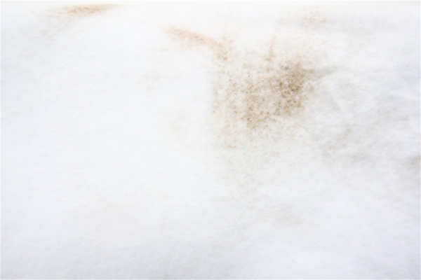 1ヶ月持たない？白髪染めがすぐ色落ちする原因と対処法を解説！ - SENJYUプロフェッショナルチーム