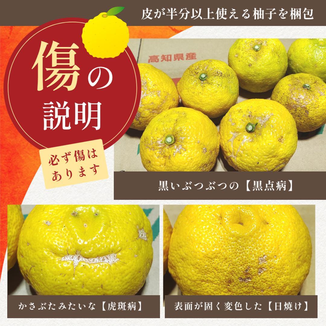 柚子を収穫しています。: 有機野菜・有機栽培の大地と自然の恵み スタッフブログ