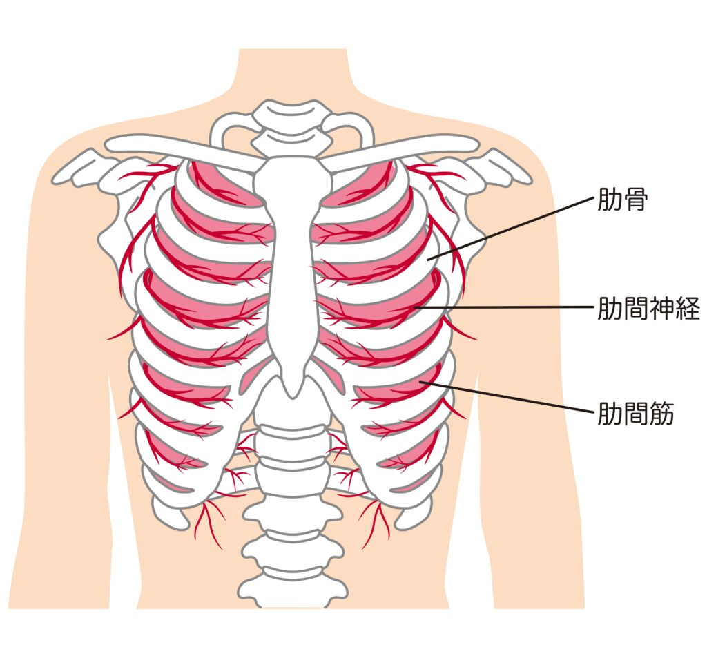 胸痛の原因は？平塚市の一般内科・循環器内科・心臓血管内科湘南いいだハートクリニック