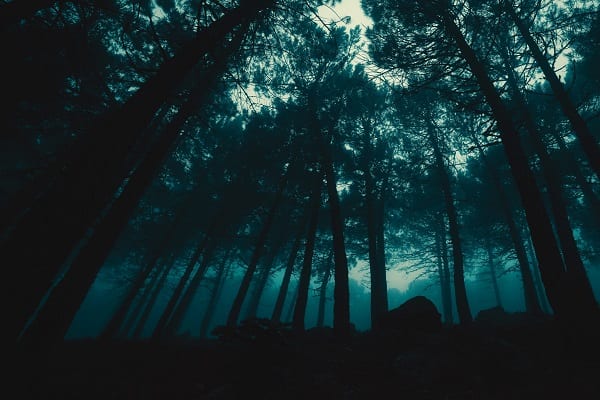 夢占い ゾンビの夢の意味状況別にスピリチュアル的な暗示を診断！スマート夢占い - Part 2