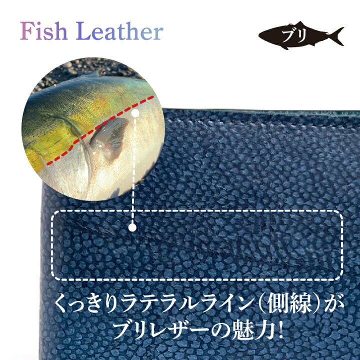 アナトミー・トレイン 『スパイラルライン SPL 』についての概要と臨床への活かし方リハビリテーションコンサルタント