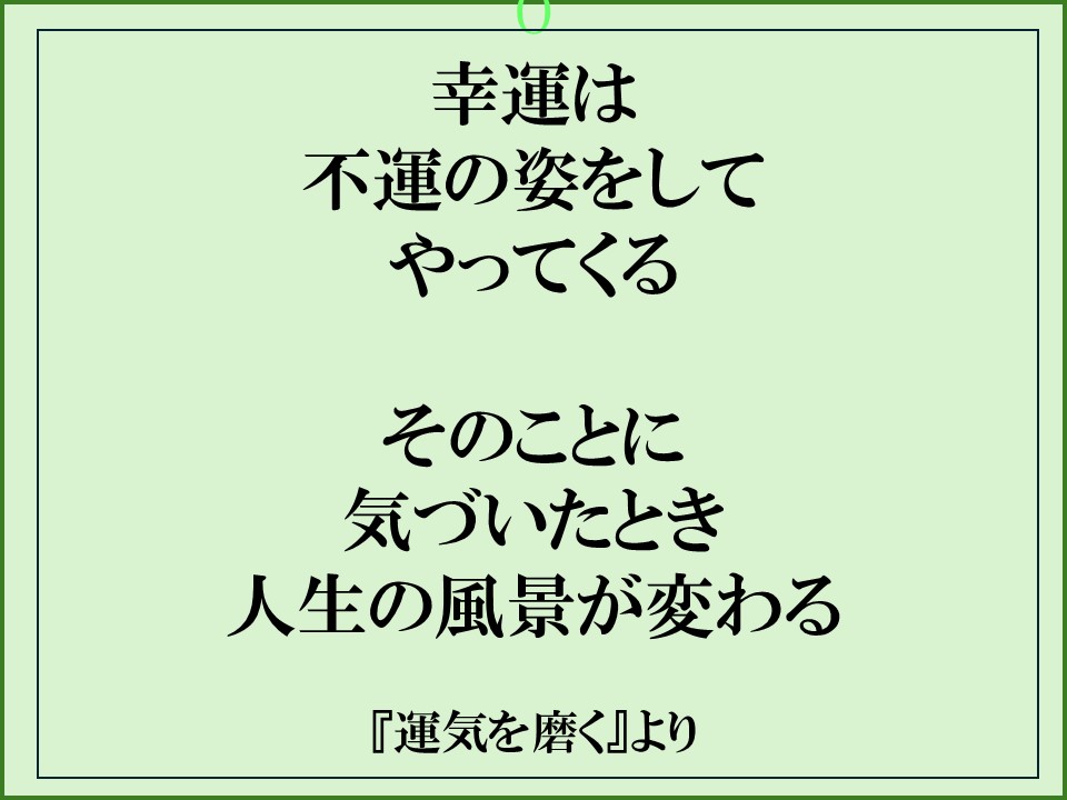 Artbeeベビーマット育児用品Shinjiyuku Tokyo