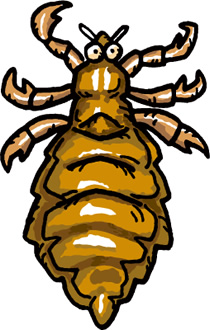 犬の体につく外部寄生虫「シラミ」その症状と対策とは？ いぬのきもちWEB MAGAZINE