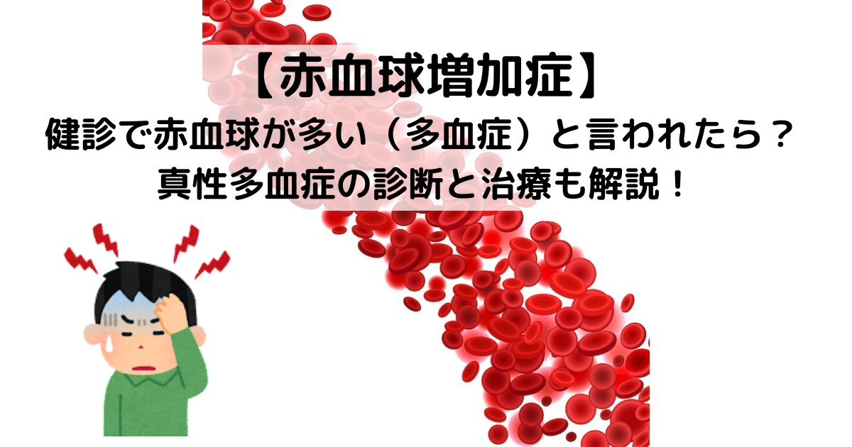 犬の貧血に効果的な食事は？原因や症状、おすすめの食べ物和漢・みらいのドッグフード公式ブログ