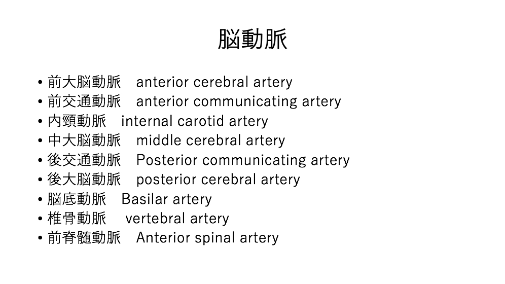 Neuroinfo Japan：脳とそれをささえる器官のしくみ