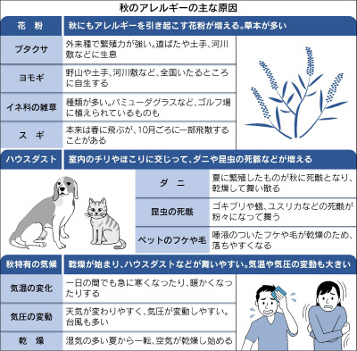 ダニアレルギーが関与する代表的アレルギー「アトピー性皮膚炎」とは