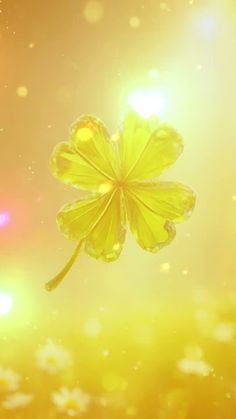 金運神社参拝・前編 日本三大金運神社の金劔宮の本殿へ参拝・金運アップ動画,白峰温泉日本三大金運神社金劔宮金運金運アップ金運上昇金運神社,Youtube動画 https:youtu.be XlNcIKy37Zg