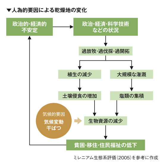 植林から土場に並ぶまでぎふの木ネット