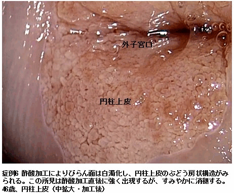 コルポ診の臨床ABC−第3版藤井 多久磨 本通販Amazon