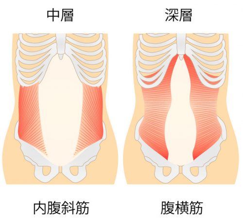 くしゃみで腹筋の筋肥大は起こせるのか？筋肉痛になるのはなぜ？科学的に解説しますTK