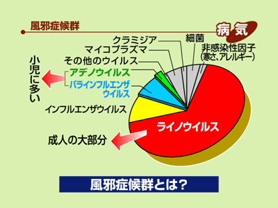 風邪をひいたような感じがする-感染症-副作用ケアりんぱしゅ通信ブリストル・マイヤーズ スクイブ株式会社