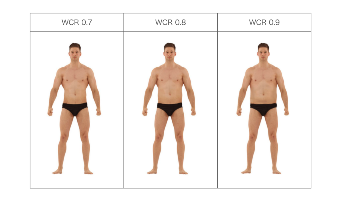適正筋肉量ってご存知ですか？姫路・THS整骨院＆THSGYM