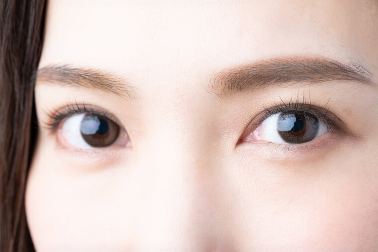 アーモンドアイは整形で作れる？具体的な方法を医師が解説金沢の美容外科はeクリニック