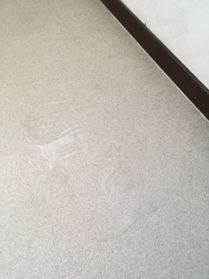 全て完璧 キッチンハイターでトイレの床掃除をする方法