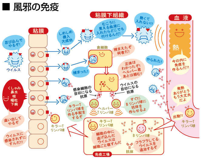 パブロンセレクトＮ 18錠 喉の痛み・喉の腫れに効く風邪薬ミナカラ minacolor