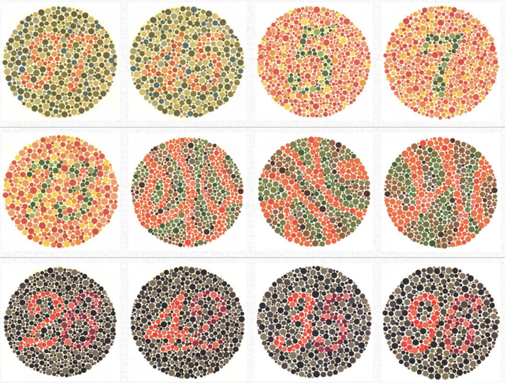 カラーバリアフリーサービス UD color:色覚異常とは