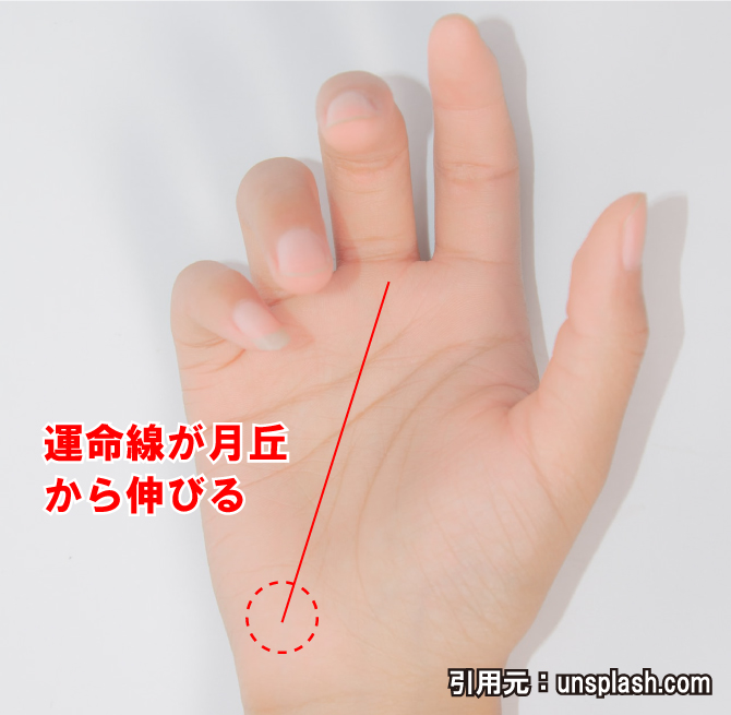 コラム 太陽線から分かるオススメの職業青木智鑑定事務所＆手相スクール