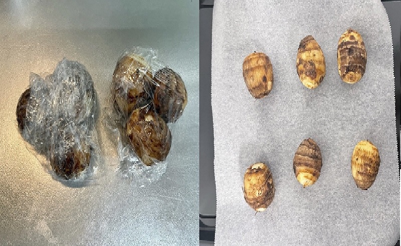 農家が教える里芋の皮の剥き方～♪