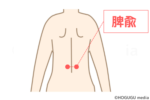 寿楽鍼灸整骨院 肓兪 こうゆ