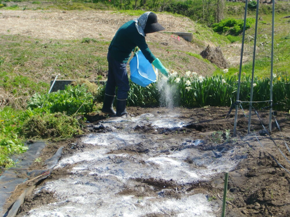 石灰について品木ダム水質管理所国土交通省 関東地方整備局