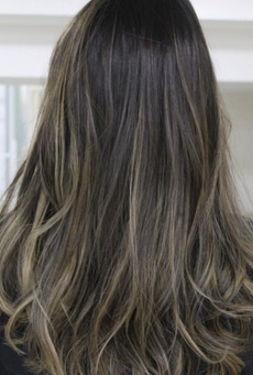 ホワイトシャドウルーツヘアカタログ NAOKI HAIR DRESSING 銀座店 島田 修汰ヘアサロン・美容院Ash オフィシャルサイト