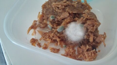 バナナのヘタについている「白いもの」って何？もしかしてカビ？正しい保存方法を知りたい 脱サラ料理家ふらお- エキスパート - Yahoo!ニュース