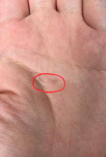 手相占い 太陽線で金持ちになるか分かる！線が長いと支持が得られる手相無料占い Picora