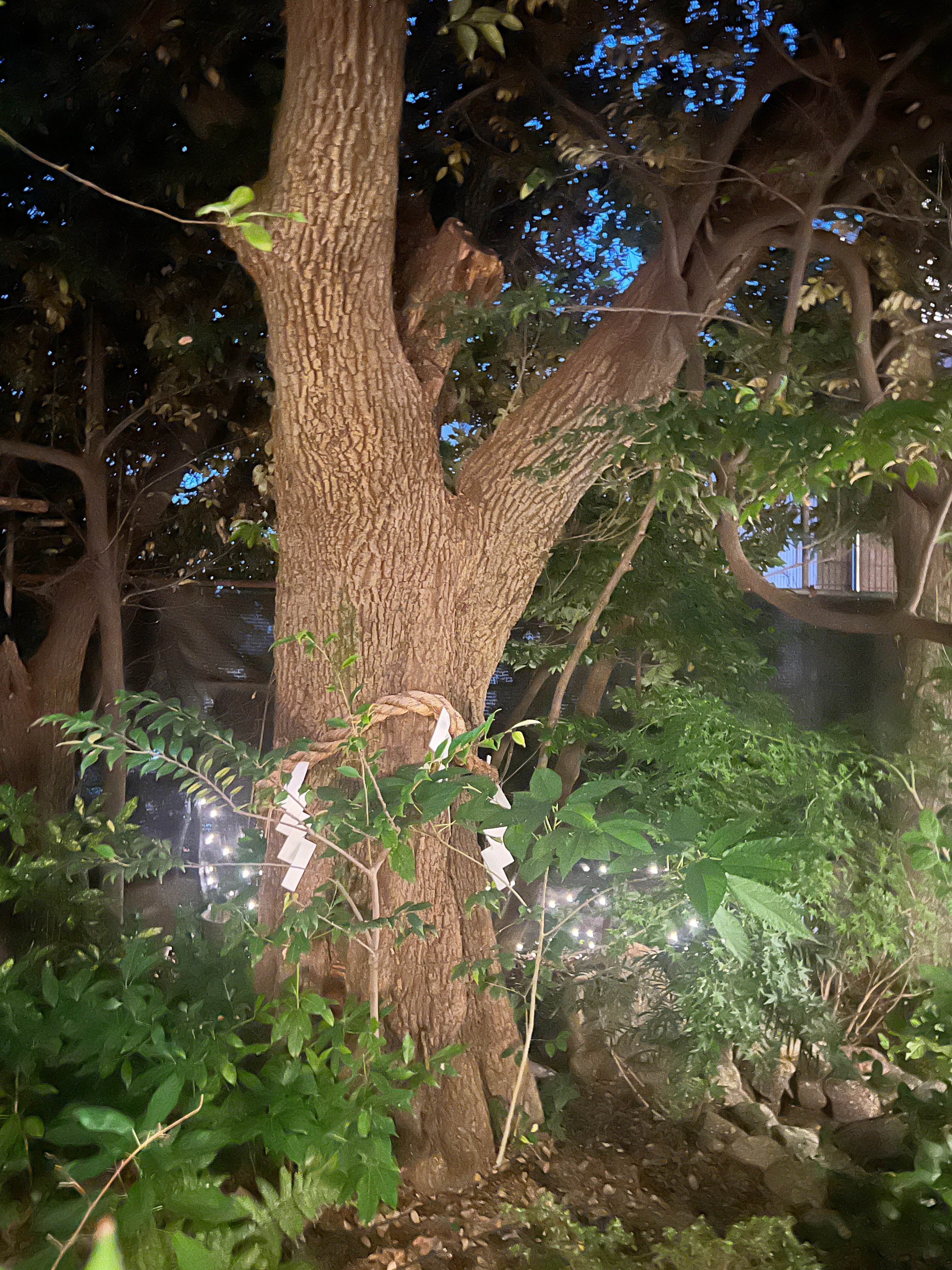 恋愛成就の待ち受け強力最強画像 口コミ多数の超強力注意本気で愛される待ち受け画像2025年最新版