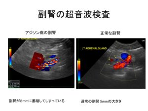 切らないシミ・ソバカス・肝斑精美スキンケアクリニック美容皮膚科・美容外科