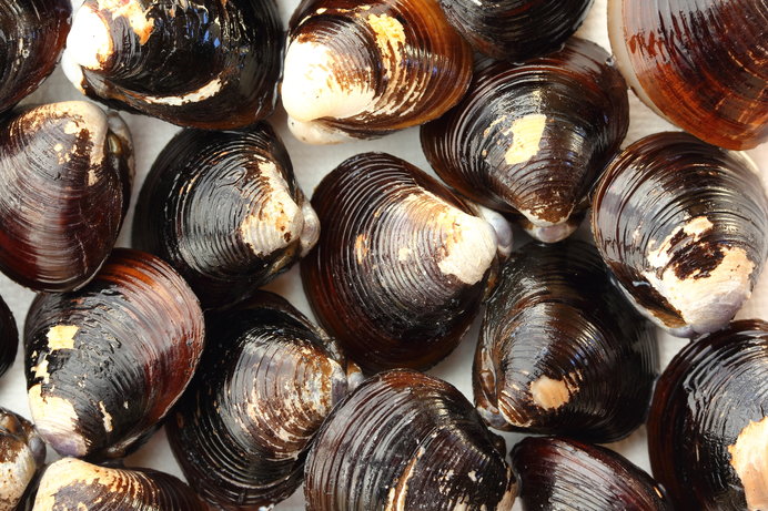 大人のアイライン」簡単テクニックで、40代、50代の目元たるみによる「しじみ目」を解消。人気ヘアメイク広瀬あつこさんが教える、自然な目ヂカラアップ術