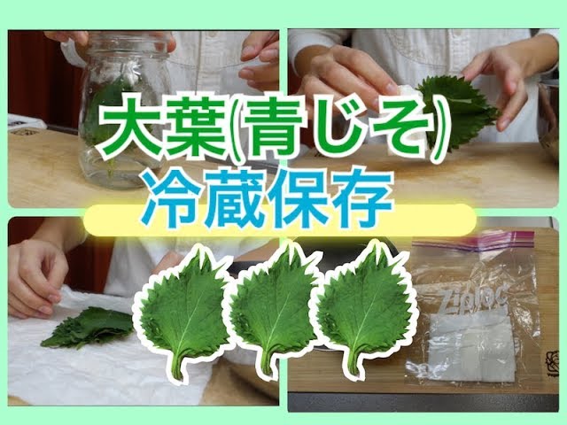 大葉の冷蔵・冷凍保存方法 シナシナにならないプロのテクニックほほえみごはん-冷凍で食を豊かに-ニチレイフーズ