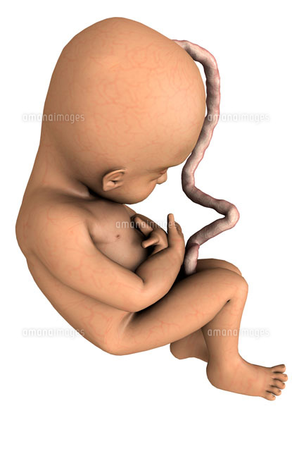 新生児のへその緒、消毒方法は？おへそから出血しているときは？ - こそだてハック