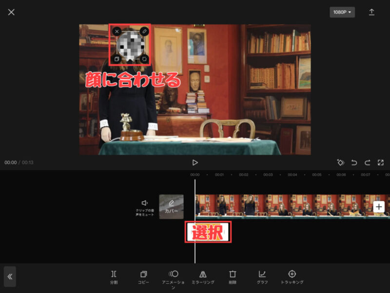 2025年 おすすめの顔隠し・モザイク加工アプリ10選！具体的な方法も紹介